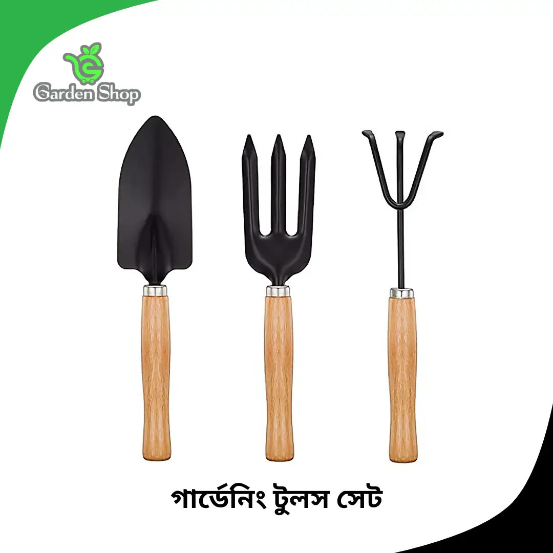 ১০ ইঞ্চি কাঠের হাতল যুক্ত গার্ডেনিং টুলস সেট