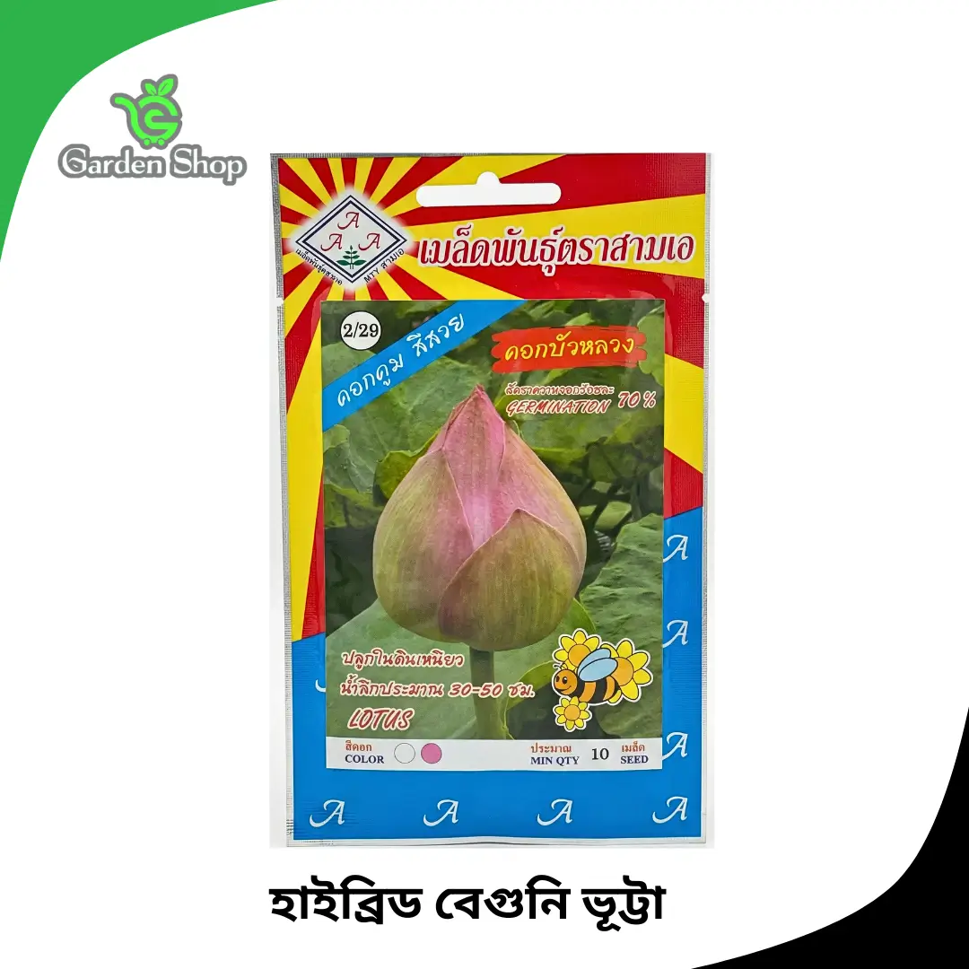 Lotus flower seed
