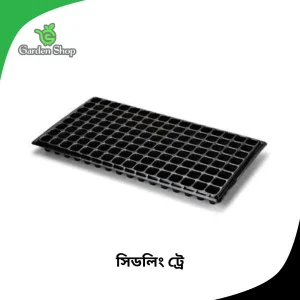 সিডলিং ট্রে