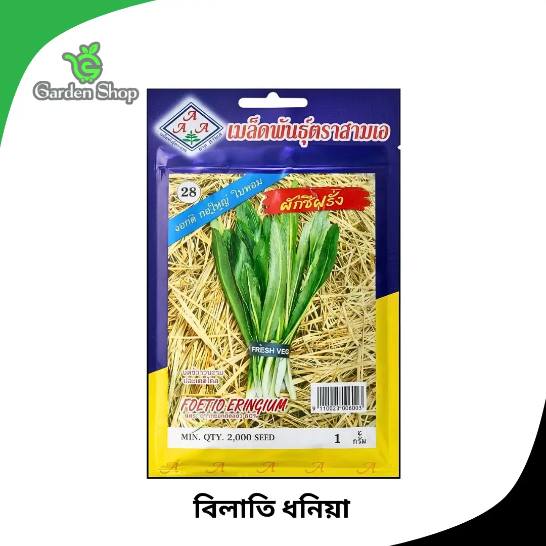 বিলাতি ধনিয়া বীজ