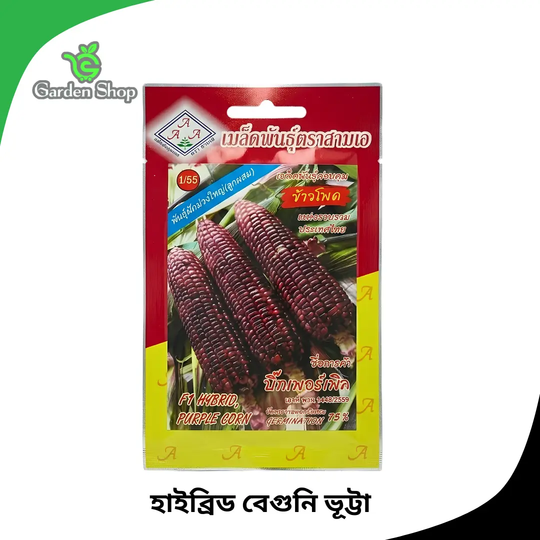 বেগুনি ভূট্টা