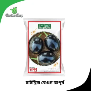 হাইব্রিড তাল বেগুন অপূর্ব বীজ প্যাকেট