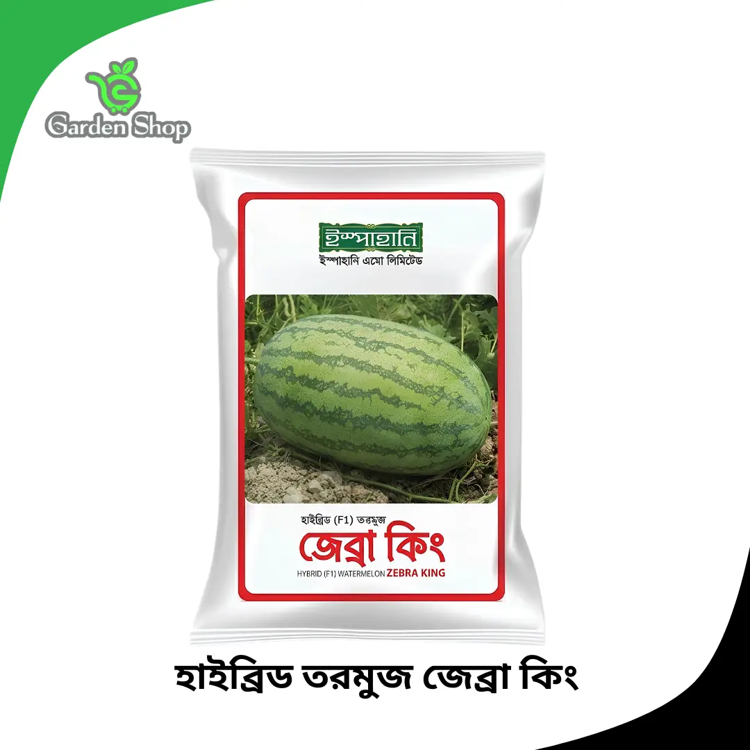 হাইব্রিড তরমুজ জেব্রা কিং