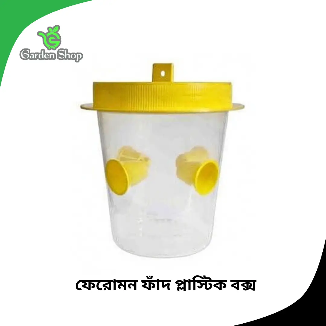 পানি বিহীন ফেরোমন ফাঁদ প্লাস্টিক বক্স