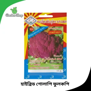 গোলাপি ফুলকপি বীজ
