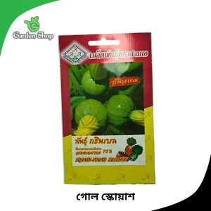 গোল স্কোয়াশ বীজ