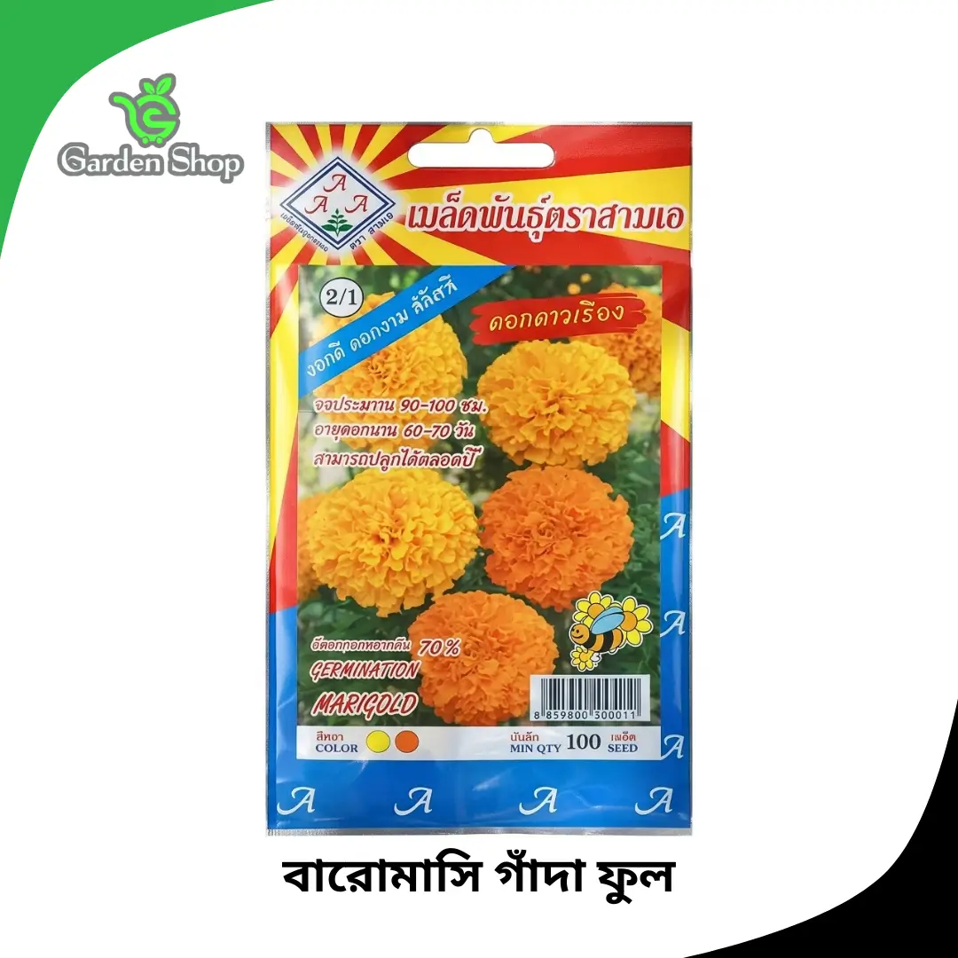 বারোমাসি গাঁদা ফুলের বীজ