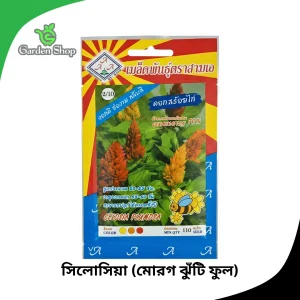 সিলোসিয়া ফুলের বীজ
