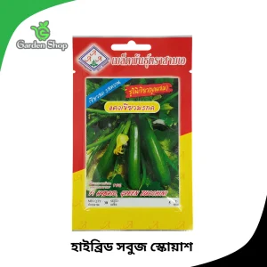 সবুজ স্কোয়াশ বীজ
