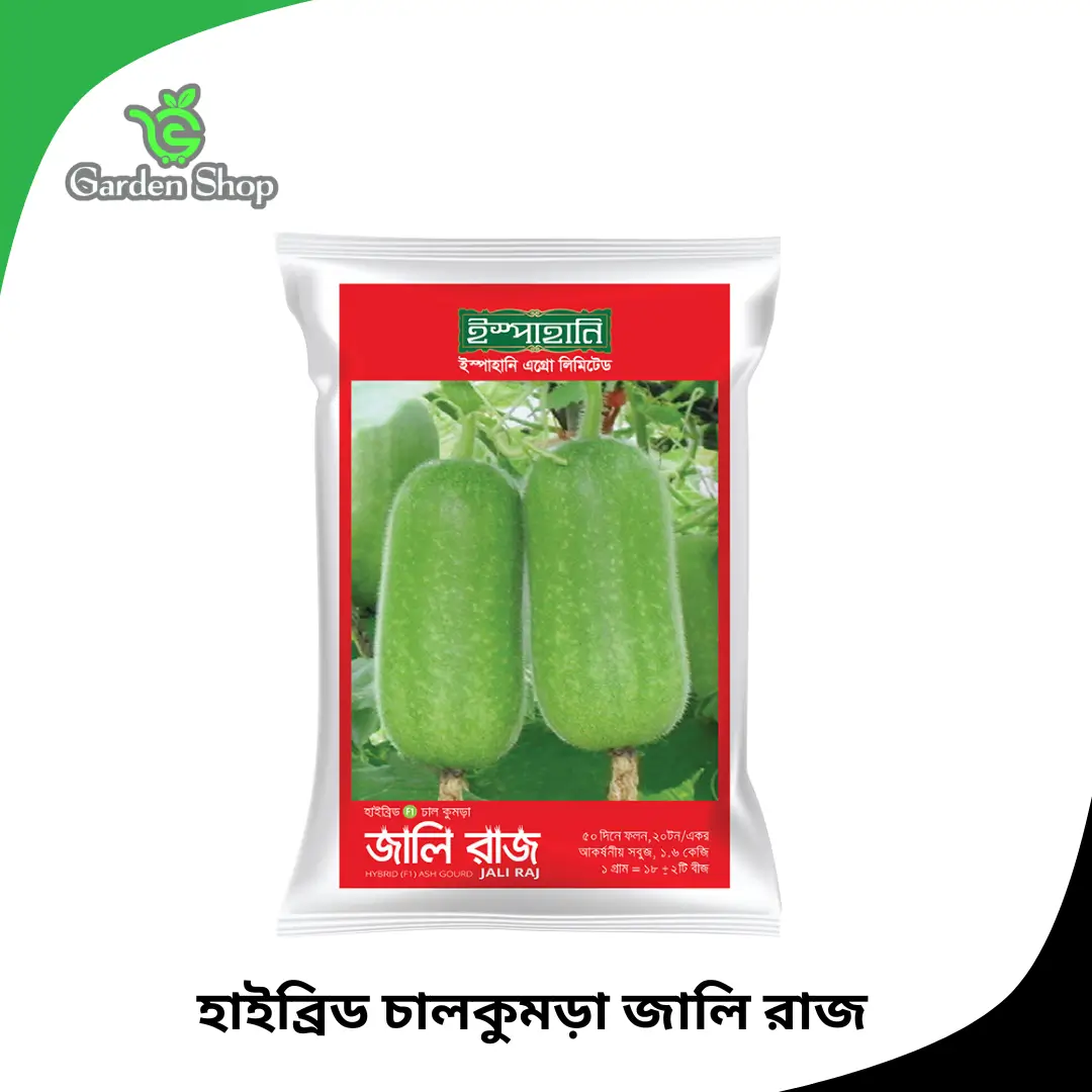 হাইব্রিড চালকুমড়া জালি রাজ বীজ প্যাকেট