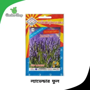 ল্যাভেন্ডার ফুলের বীজ