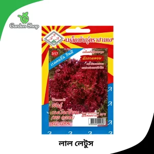 লাল লেটুস বীজ