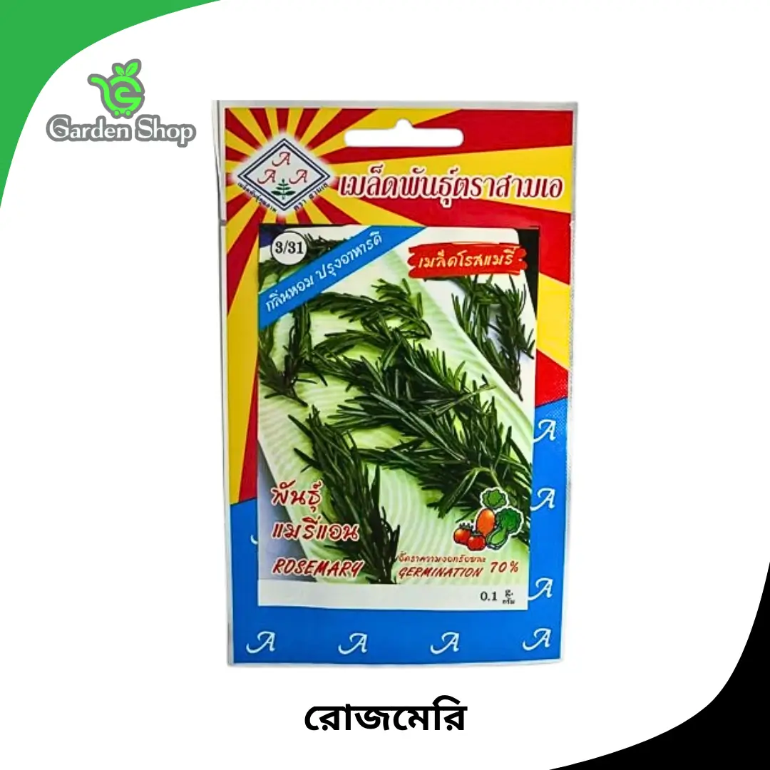 রোজমেরি বীজ