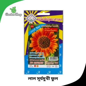 লাল সূর্যমুখী ফুলের বীজ