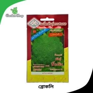 ব্রোকলি বীজ