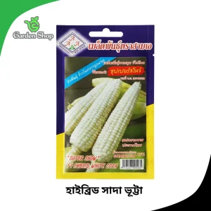 হাইব্রিড সাদা ভূট্টা বীজ