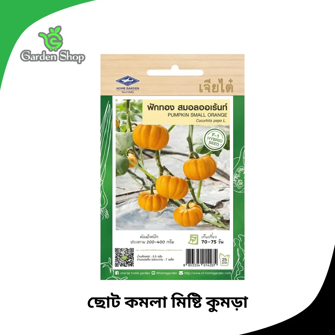 ছোট কমলা মিষ্টি কুমড়ার বীজ