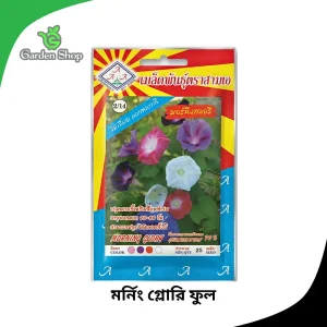 মর্নিং গ্লোরি ফুলের বীজ