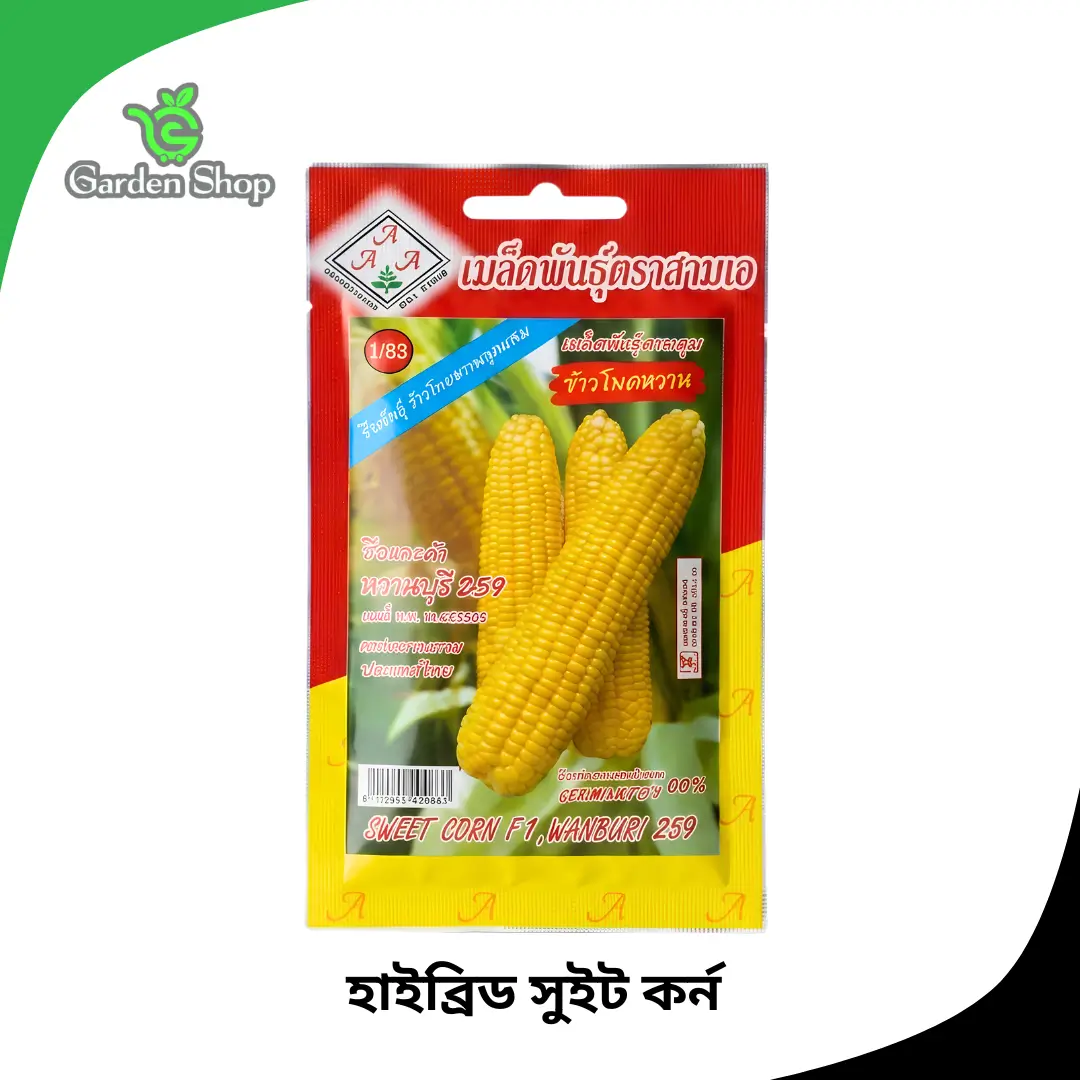 হাইব্রিড সুইট কর্ন বীজ
