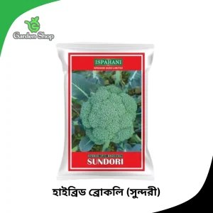 হাইব্রিড ব্রোকলি বীজ (সুন্দরী)