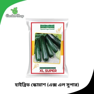 হাইব্রিড স্কোয়াশ বীজ