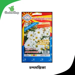 চন্দ্রমল্লিকা ফুলের বীজ
