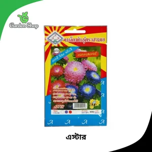 এস্টার ফুলের বীজ