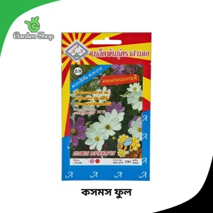 কসমস ফুলের বীজ